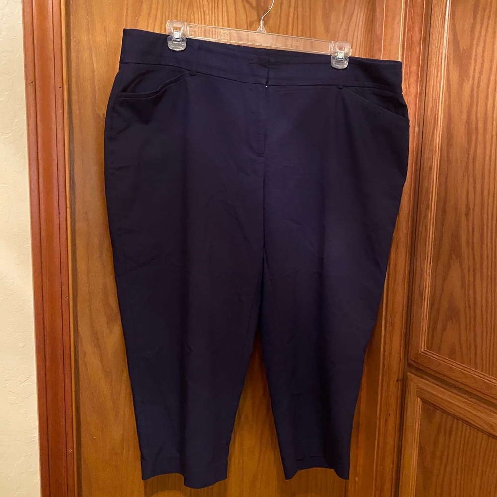 Apt. 9 Torie Women's Dark Blue Plus Size Capris 20W